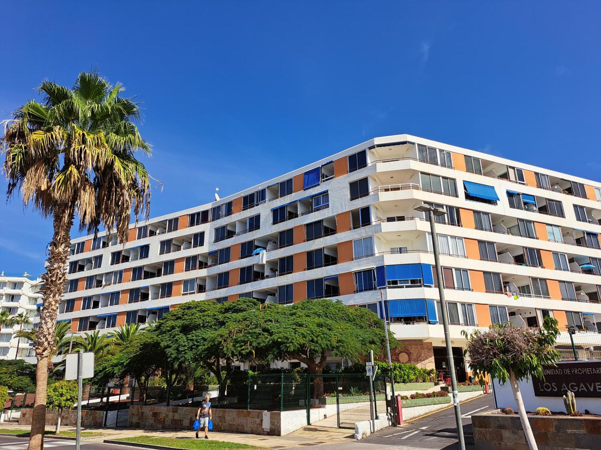 Cozy Ocean And La Gomera View Appartment 플라야데라스아메리카스 외부 사진